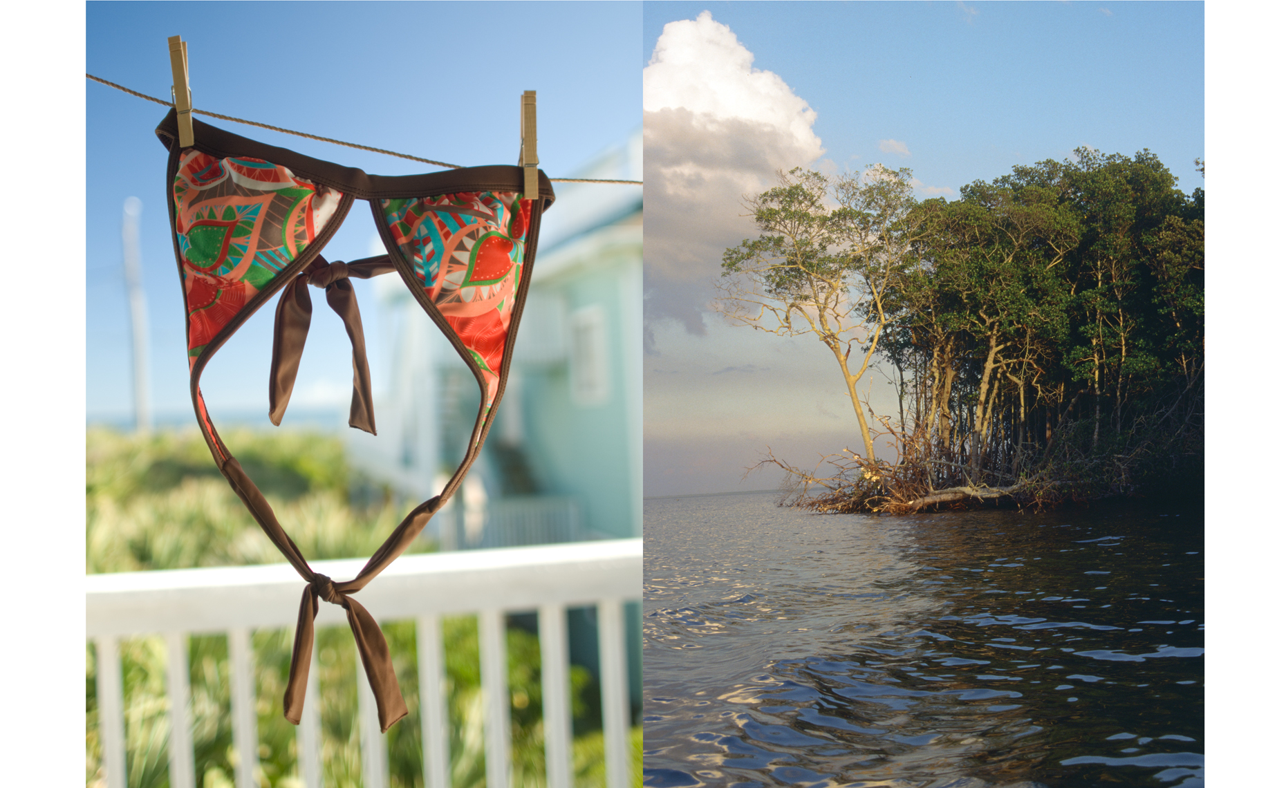bikini_mangrove.jpg